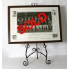 FC80001 Limited Edition Cricket Print